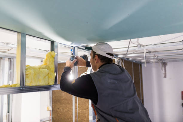 Best Insulation Installation Services in Orange, VA